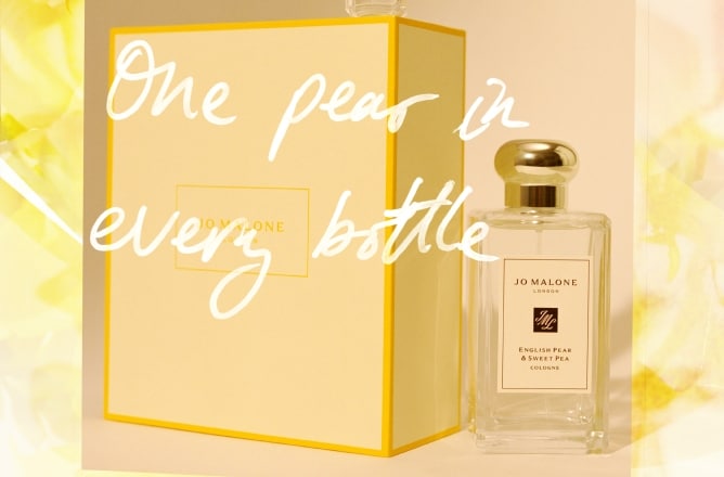 English Pear & Freesia