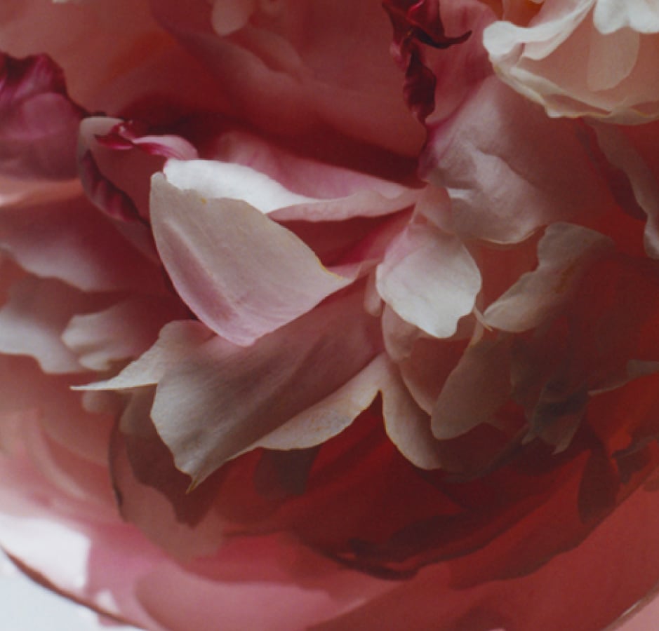 Add a layer of warmth with Peony & Blush Suede.