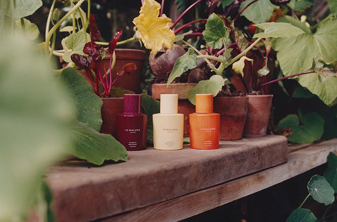 Explore Farm Fresh Fragrances
