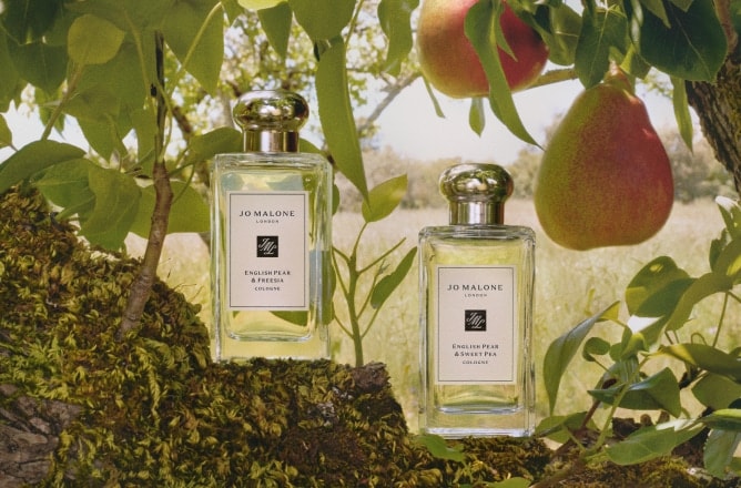 Experience The English Orchard