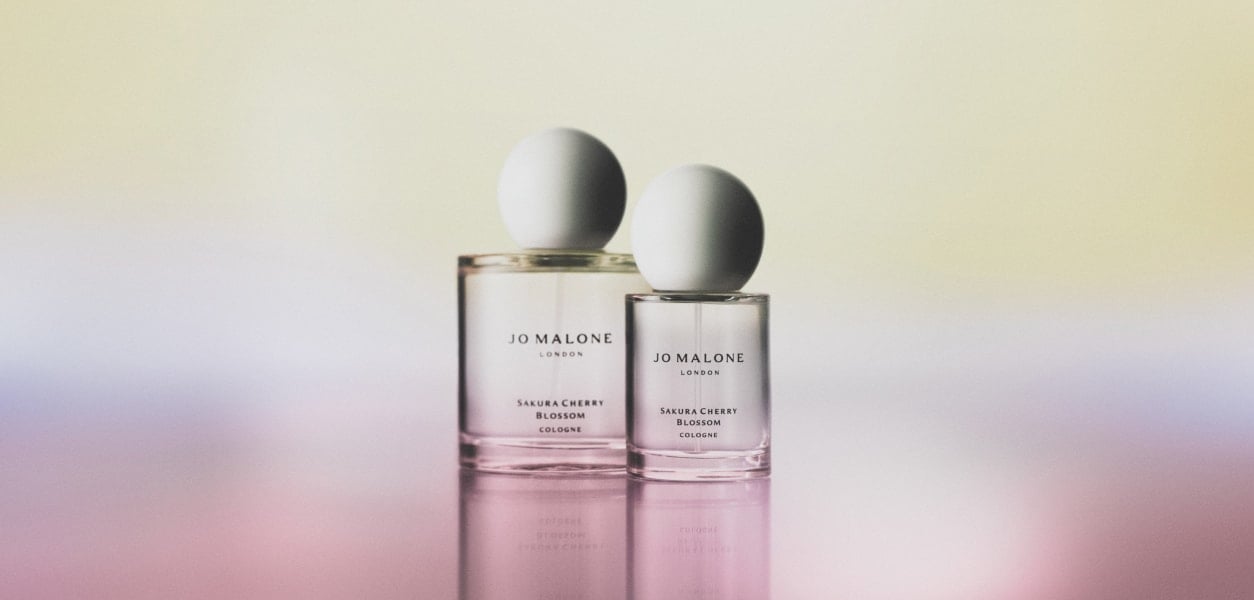 Celebrating Sakura Season