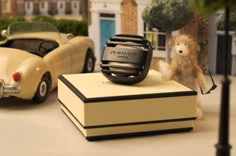 Our New Look Car Diffuser