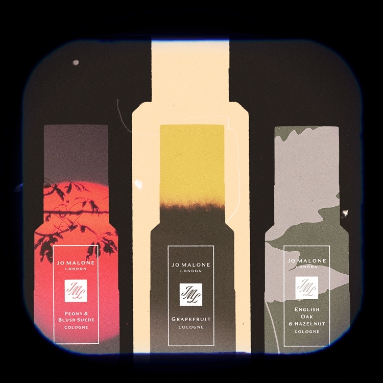 Peony & Blush Suede Cologne | Jo Malone London Australia | Jo