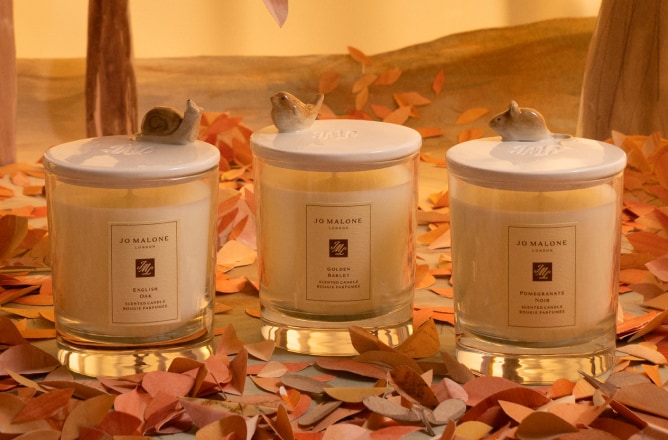 Special-Edition Candles