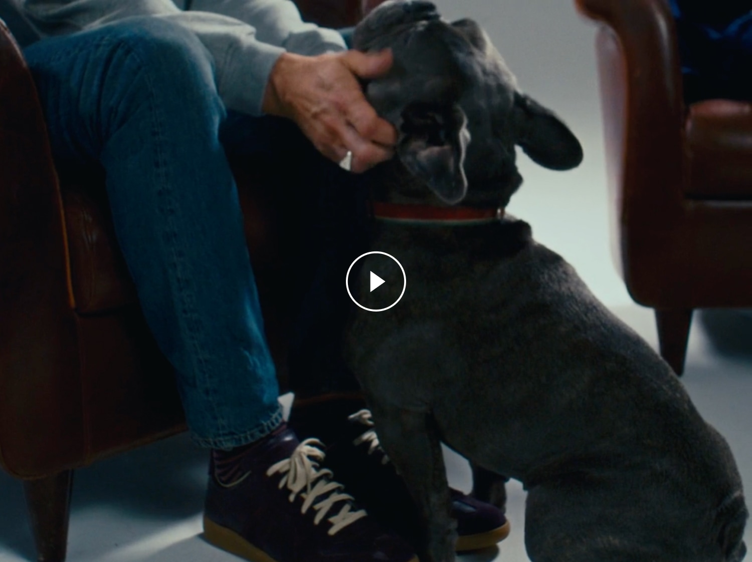 A clapperboard reveals Tom Hardy caressing a small dog, which he lifts onto his lap. He is wearing a grey jumper and glasses.
