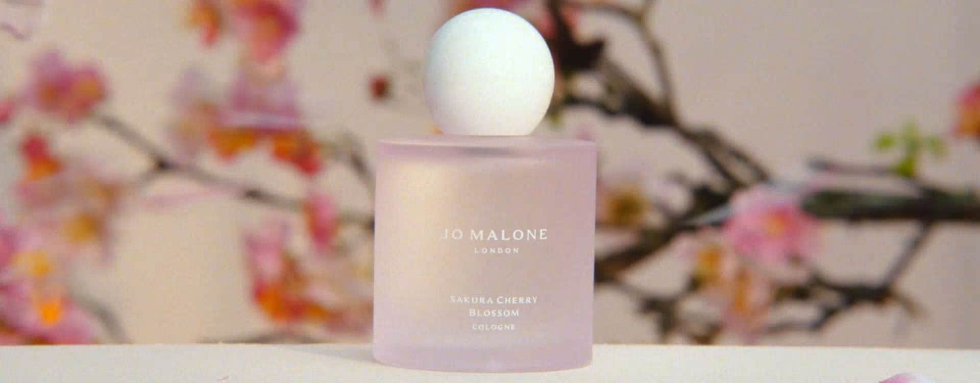 Sakura cherry blossom jo malone cheap