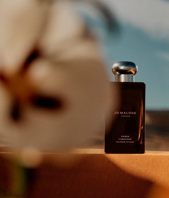 The Cologne Intense Journey Continues