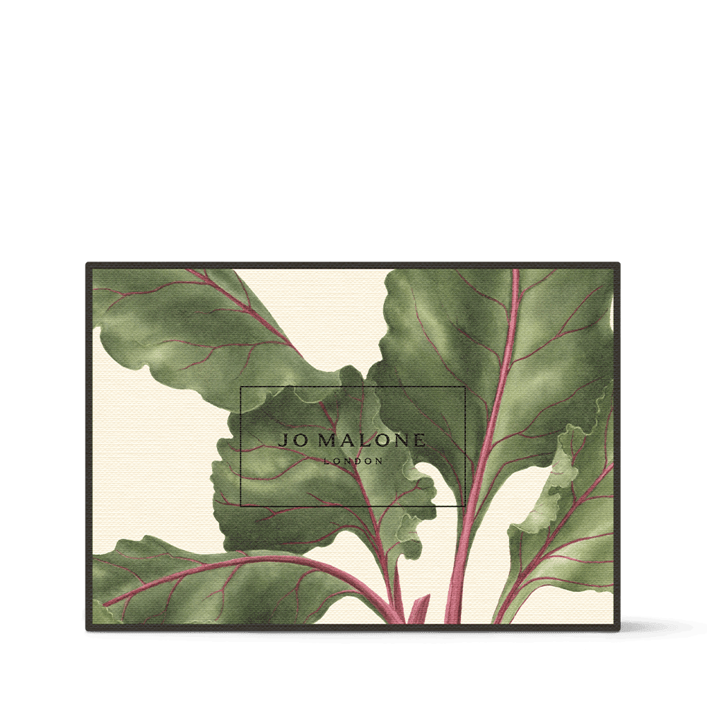 Veggies Cologne Trio Box