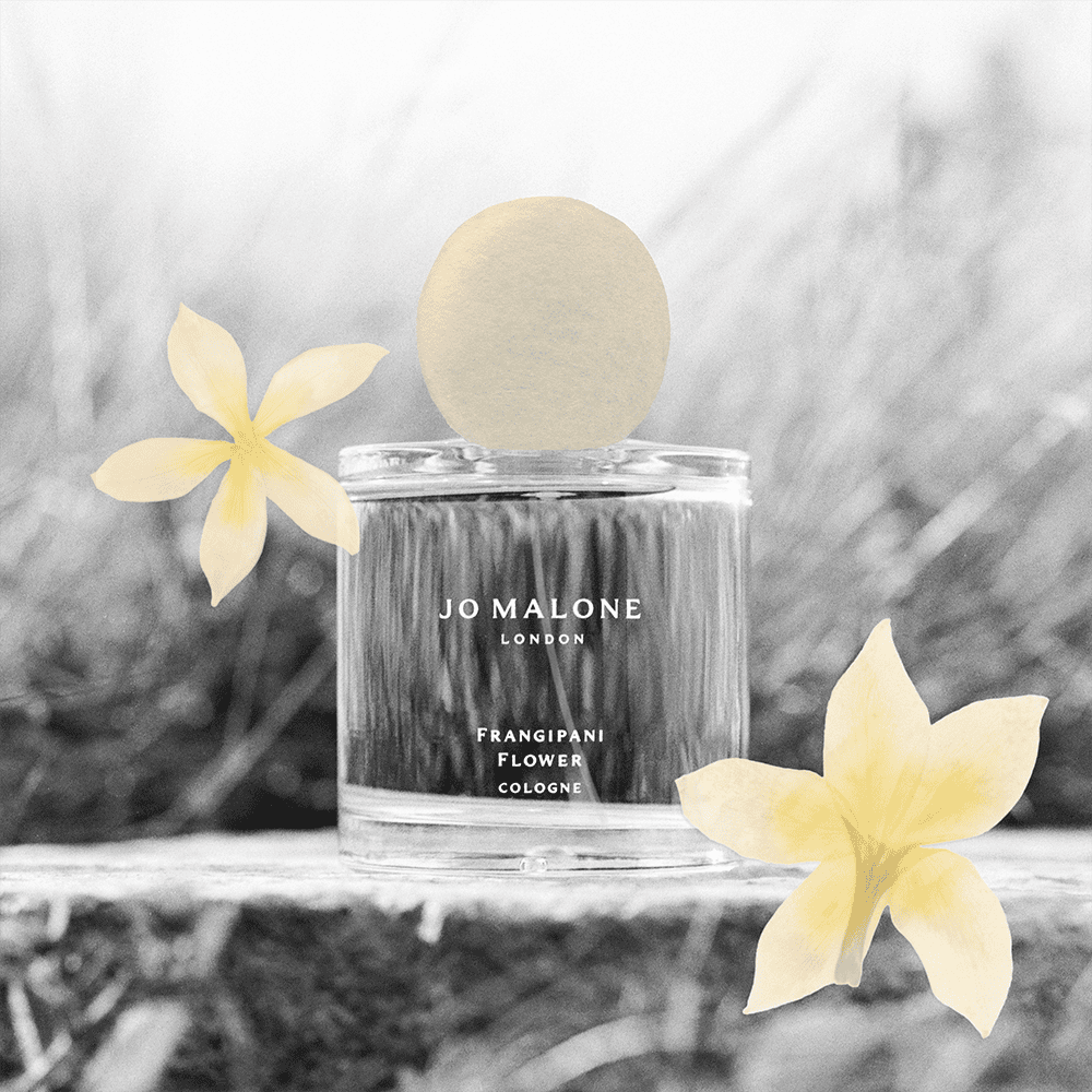 Frangipani Flower Cologne | Jo Malone London