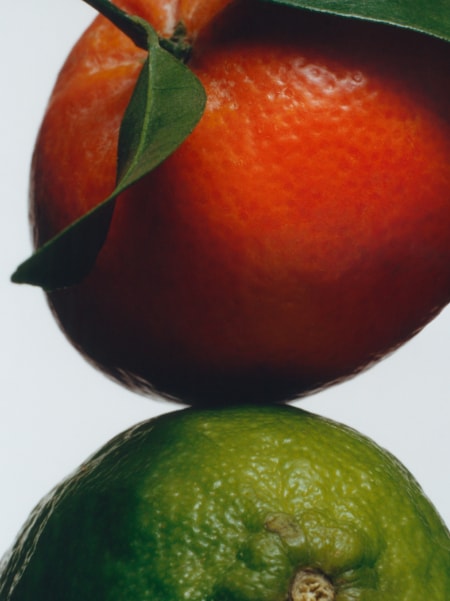 Fresh & Citrus