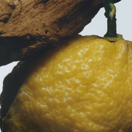Oud &amp; Bergamot